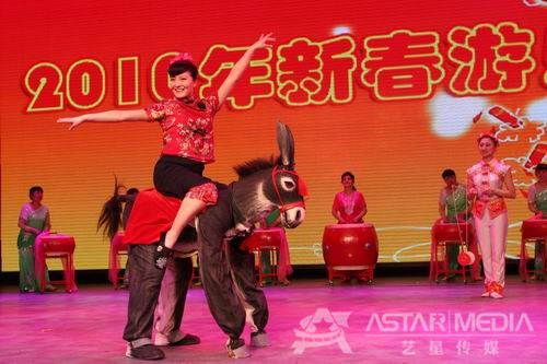 赛活驴1