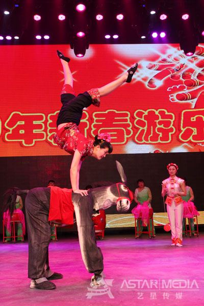 赛活驴3